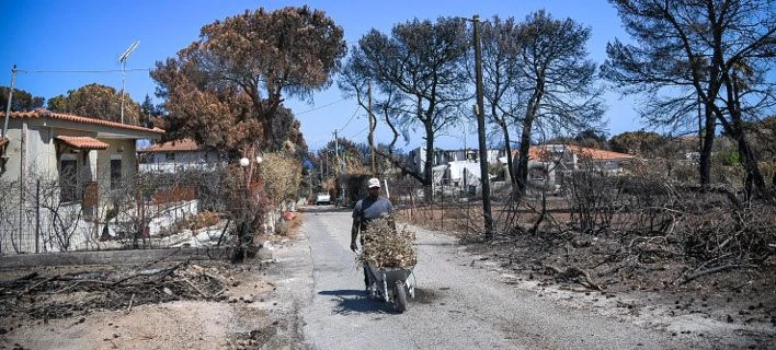Τραγωδία στο Μάτι: Οι καταθέσεις που δείχνουν τις ανακρίβειες για τη δράση Πυροσβεστικής